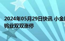 2024年05月29日快讯 小金属概念拉升走强，翔鹭钨业 章源钨业双双涨停