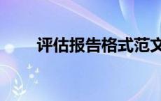 评估报告格式范文（评估报告格式）