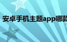 安卓手机主题app哪款好用（安卓手机主题）