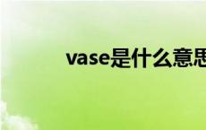 vase是什么意思（vs什么意思）