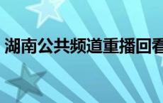 湖南公共频道重播回看（湖南公共频道重播）