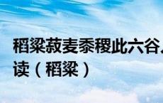 稻粱菽麦黍稷此六谷人所食马牛羊鸡犬豕怎么读（稻粱）