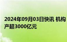 2024年09月03日快讯 机构：18月国内储能电池及系统投扩产超3000亿元