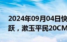 2024年09月04日快讯 医药商业开盘再度活跃，漱玉平民20CM涨停