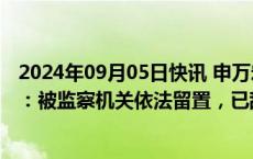 2024年09月05日快讯 申万宏源回应投行副总王昭凭被带走：被监察机关依法留置，已辞职