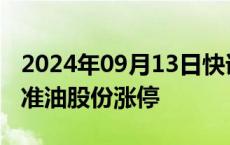 2024年09月13日快讯 油气股午后异动拉升，准油股份涨停