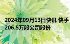 2024年09月13日快讯 快手：今日耗资约7947.6万港元回购206.5万股公司股份