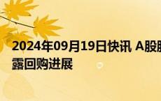 2024年09月19日快讯 A股股票回购一览：昨日54家公司披露回购进展