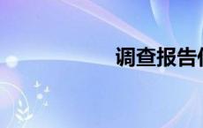 调查报告作文300字