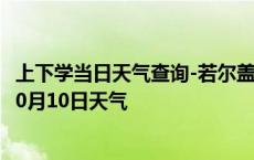 上下学当日天气查询-若尔盖天气预报阿坝州若尔盖2024年10月10日天气