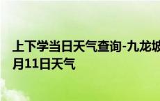 上下学当日天气查询-九龙坡天气预报重庆九龙坡2024年10月11日天气