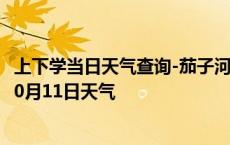 上下学当日天气查询-茄子河天气预报七台河茄子河2024年10月11日天气