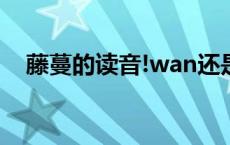 藤蔓的读音!wan还是man 正确读音解答