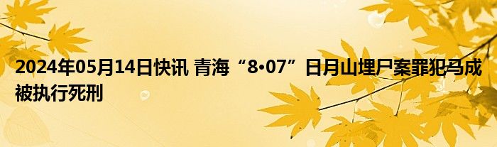 2024年05月14日快讯 青海“8·07”日月山埋尸案罪犯马成被执行死刑