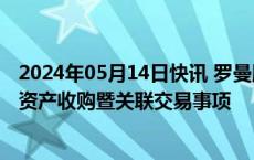 2024年05月14日快讯 罗曼股份收上交所监管工作函：涉及资产收购暨关联交易事项