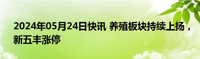 2024年05月24日快讯 养殖板块持续上扬，新五丰涨停