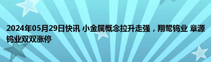 2024年05月29日快讯 小金属概念拉升走强，翔鹭钨业 章源钨业双双涨停