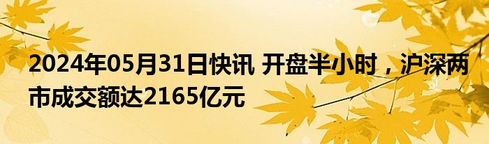 2024年05月31日快讯 开盘半小时，沪深两市成交额达2165亿元