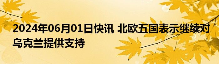 2024年06月01日快讯 北欧五国表示继续对乌克兰提供支持