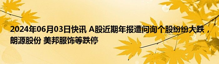 2024年06月03日快讯 A股近期年报遭问询个股纷纷大跌，朗源股份 美邦服饰等跌停