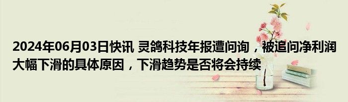 2024年06月03日快讯 灵鸽科技年报遭问询，被追问净利润大幅下滑的具体原因，下滑趋势是否将会持续