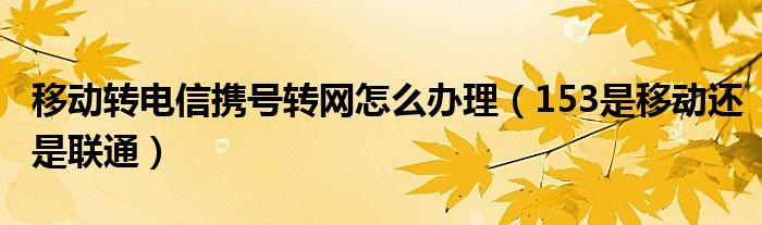 移动转电信携号转网怎么办理（153是移动还是联通）