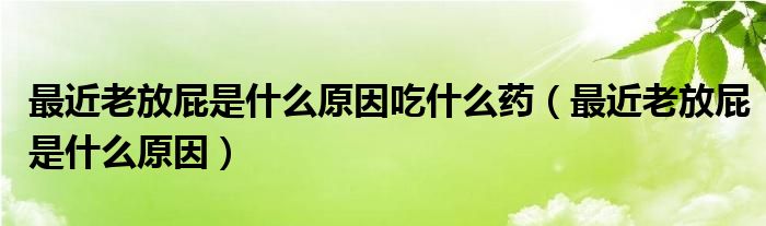 最近老放屁是什么原因吃什么药（最近老放屁是什么原因）