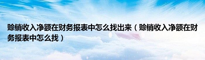 赊销收入净额在财务报表中怎么找出来（赊销收入净额在财务报表中怎么找）