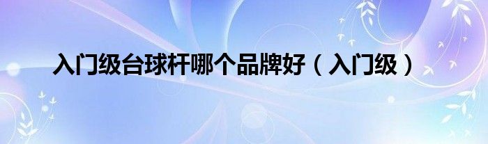 入门级台球杆哪个品牌好（入门级）