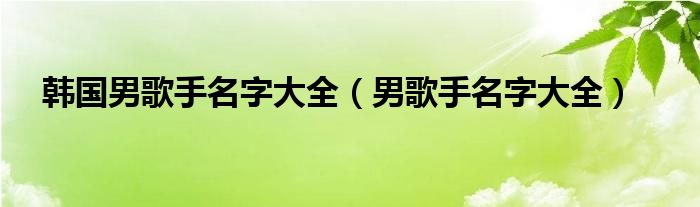 韩国男歌手名字大全（男歌手名字大全）