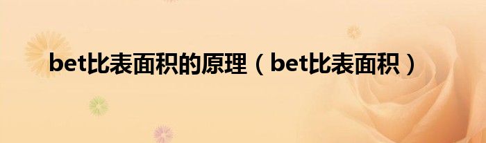 bet比表面积的原理（bet比表面积）