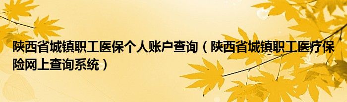 陕西省城镇职工医保个人账户查询（陕西省城镇职工医疗保险网上查询系统）