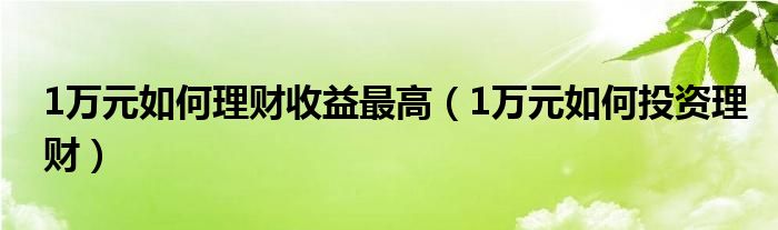 1万元如何理财收益最高（1万元如何投资理财）