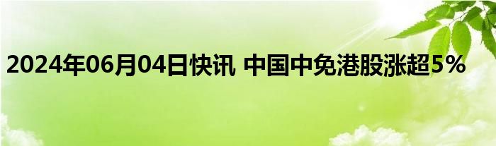 2024年06月04日快讯 中国中免港股涨超5%