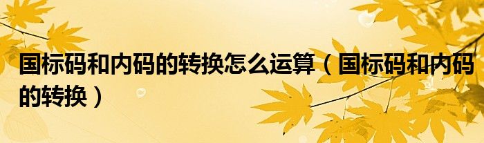 国标码和内码的转换怎么运算（国标码和内码的转换）