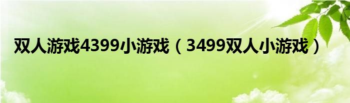 双人游戏4399小游戏（3499双人小游戏）