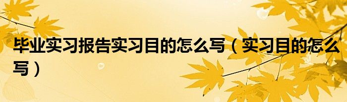 毕业实习报告实习目的怎么写（实习目的怎么写）