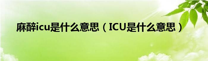 麻醉icu是什么意思（ICU是什么意思）