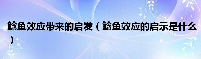 鲶鱼效应带来的启发（鲶鱼效应的启示是什么）