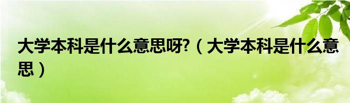 大学本科是什么意思呀?（大学本科是什么意思）