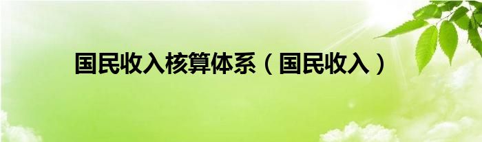 国民收入核算体系（国民收入）