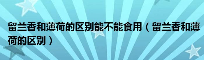 留兰香和薄荷的区别能不能食用（留兰香和薄荷的区别）