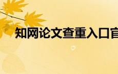 知网论文查重入口官网（知网论文查重）