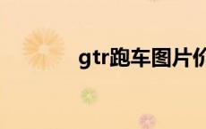 gtr跑车图片价格（gtr跑车）