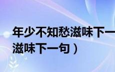 年少不知愁滋味下一句是什么?（年少不知愁滋味下一句）