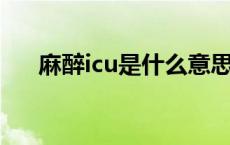 麻醉icu是什么意思（ICU是什么意思）