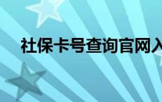 社保卡号查询官网入口（社保卡号查询）