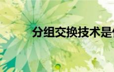 分组交换技术是什么（分组交换）