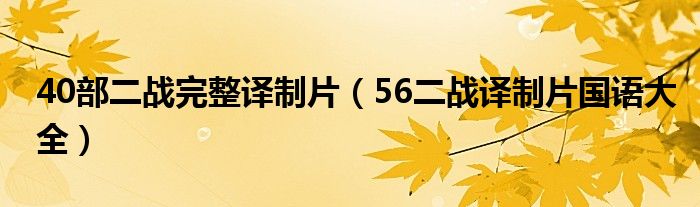 40部二战完整译制片（56二战译制片国语大全）