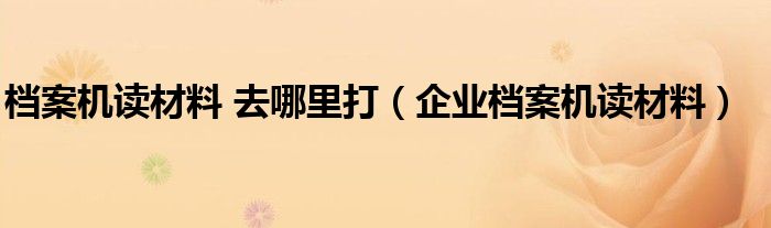 档案机读材料 去哪里打（企业档案机读材料）